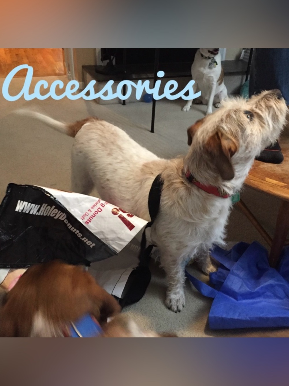 Accessories!